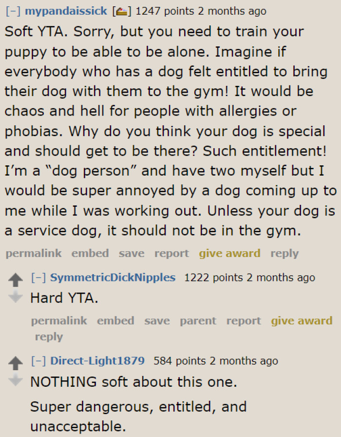 The OP also needs to be a responsible dog owner by training his dog to handle being home alone.