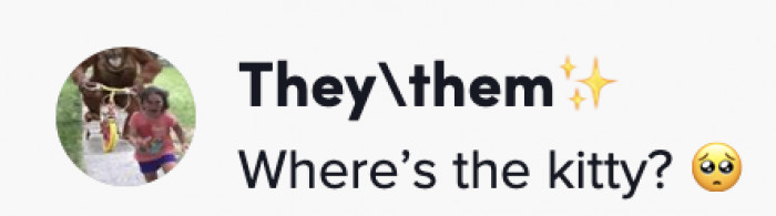 We are also curious about the cat-slash-dog.