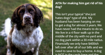Woman Asks For An Online Community's Opinion After She Forces Her Husband To Get Rid Of His Dog