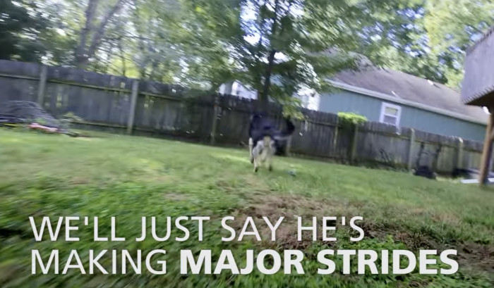 ... and he has more than made up for the time he couldn't stand up, let alone walk