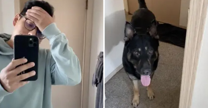 1. Pupper wants to go to the bathroom...