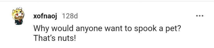 7. It is totally nuts to spook a pet