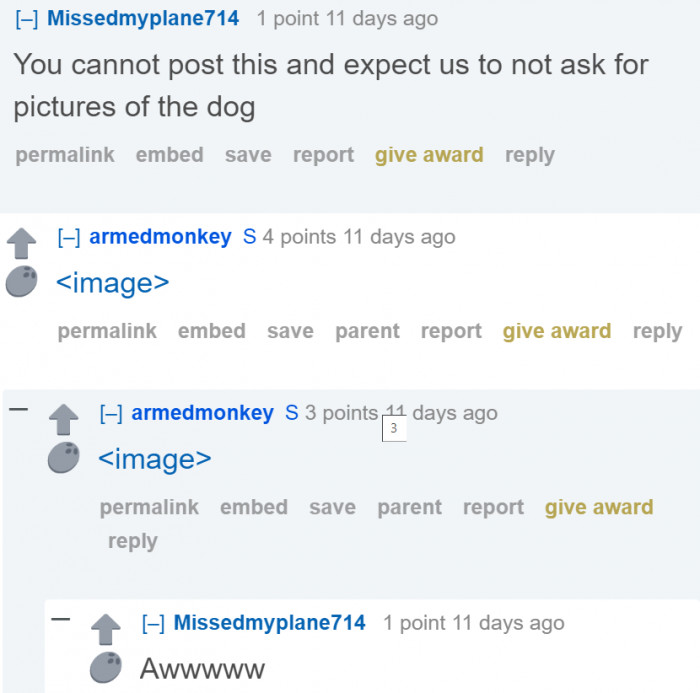 So the OP responded with a couple of Golda's pictures.