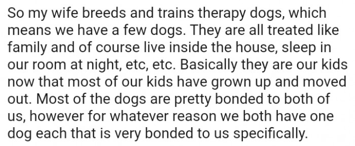 What my wife does...