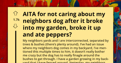 Careless Owner Lets Dog Eat Peppers in Neighbor’s Garden, Then Blames Him for Dog’s Sickness