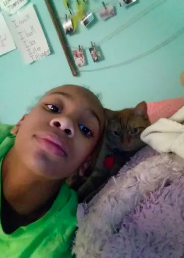 26. This kitty and her hooman