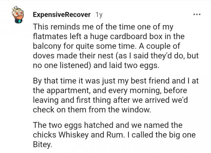 This Redditor has a similar story to share