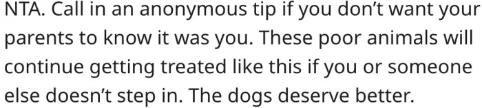 1. She could give the authorities an anonymous tip.