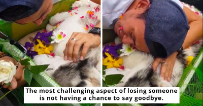 Heartbroken Dog Owner Says Final Goodbye To Beloved Pet