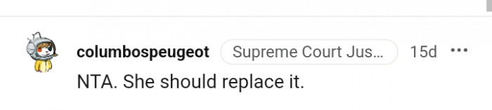 She should have just offered to replace it