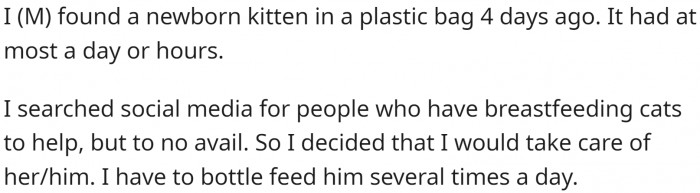 OP found a newborn kitten and he was determined to help her live