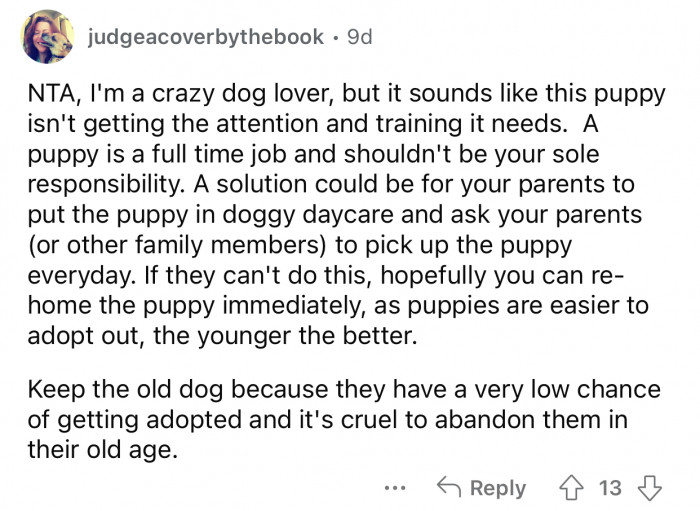 It's cruel to abandon a dog in its old age.