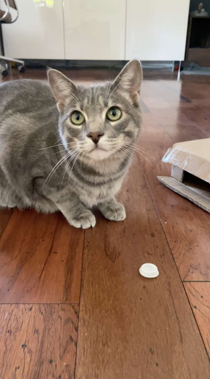 He keeps them stored around the house in case he's ever in the mood to play with one