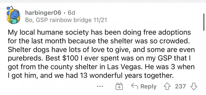 Shelters will always be the best choice instead of buying from a breeder.