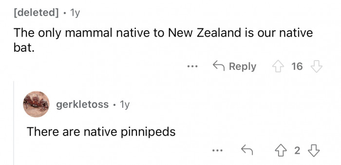 The bat is the only native mammal in New Zealand.