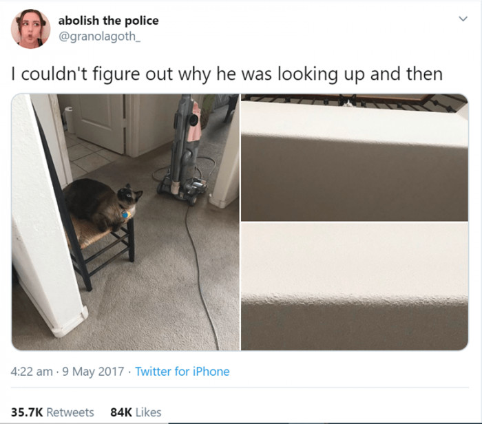 3. Thoughts are either there's something in your place or just the cats.