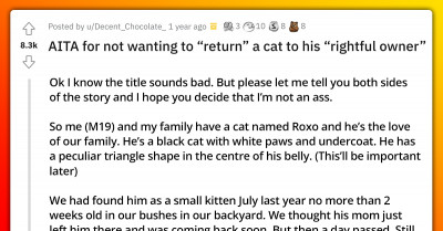 People Of Reddit Help Put An End To Cat Ownership Dispute