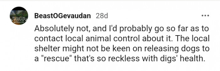 The local shelter might not be keen...