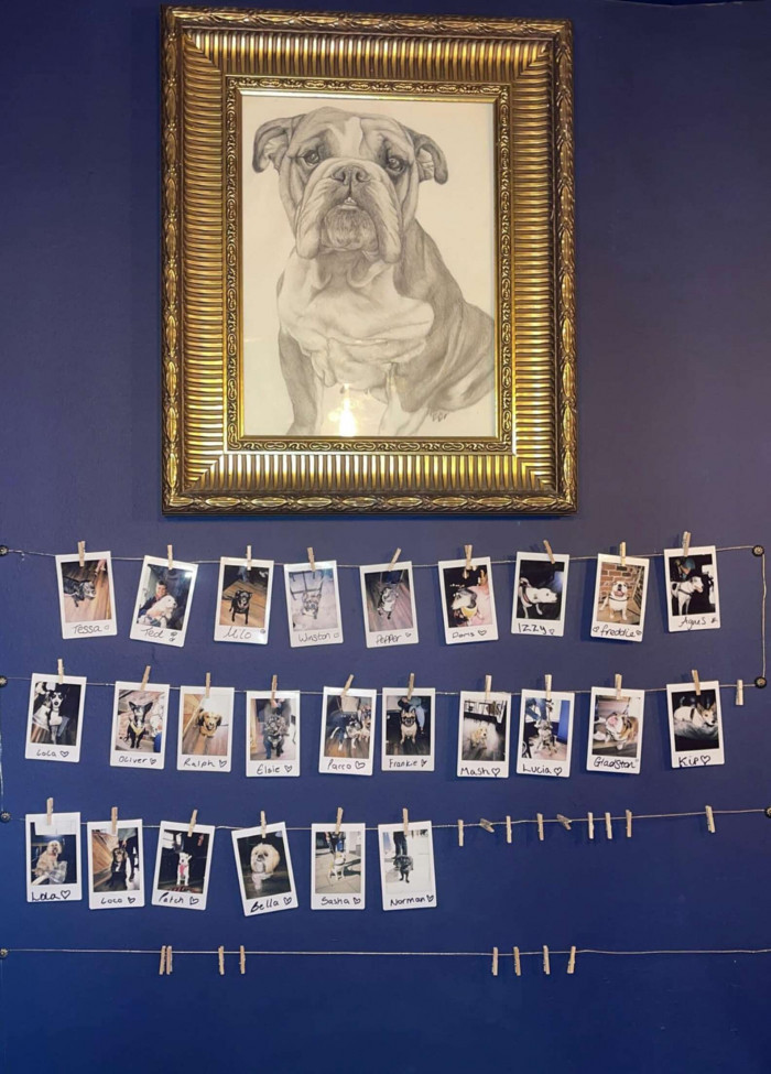 The largest photograph is a hand-drawn portrait of Freddie, an English bulldog.
