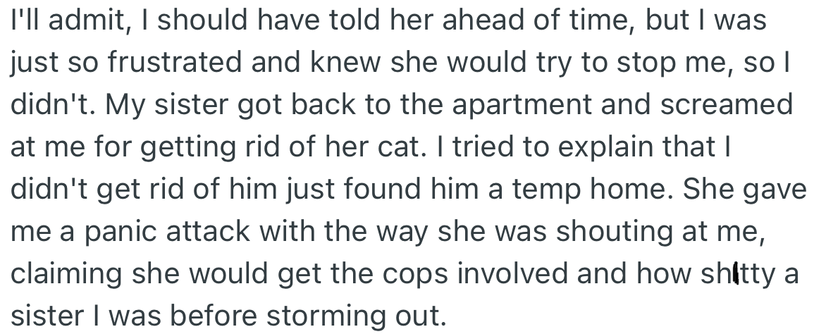 OP’s sister was furious when she returned and could not find her cat and threatened to get the cops involved. OP tried to explain that it was a temporary measure and that she was free to see the cat at any time, but she would not have it.