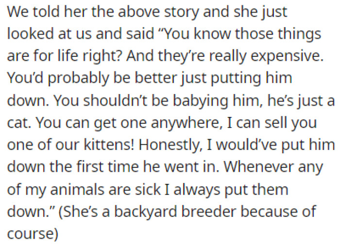 OP told this to her MIL and she said that they should just put the cat down