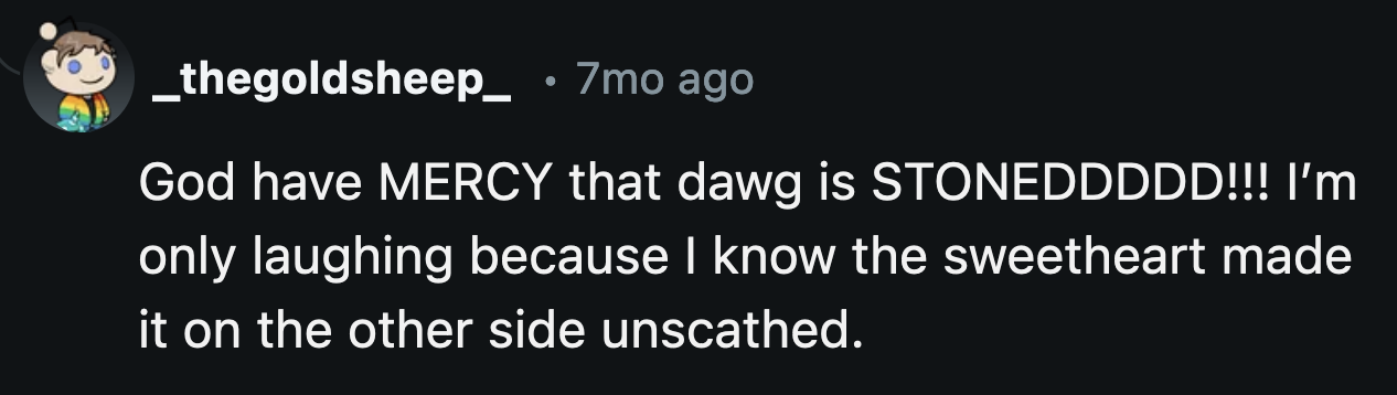 OP's dog was right up there in the clouds with Snoopy.