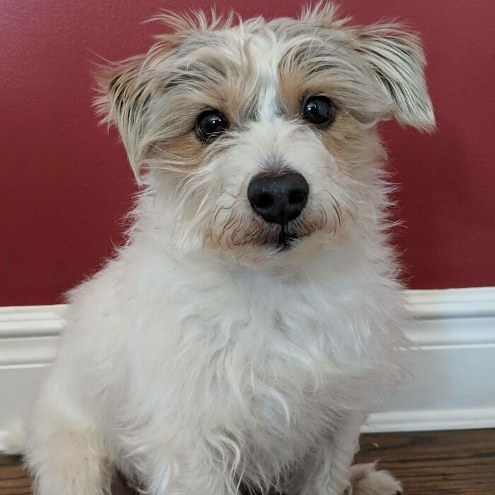 35. We hope he had a successful surgery.