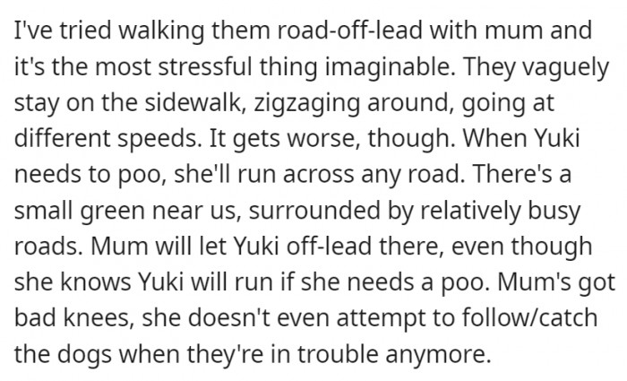 The mom also doesn't even attempt to follow the dogs when they're near trouble because of her bad knees