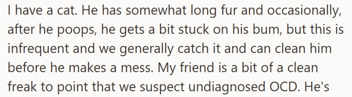 A fluffy cat with bathroom quirks and a guest obsessed with cleanliness—what could possibly go wrong?