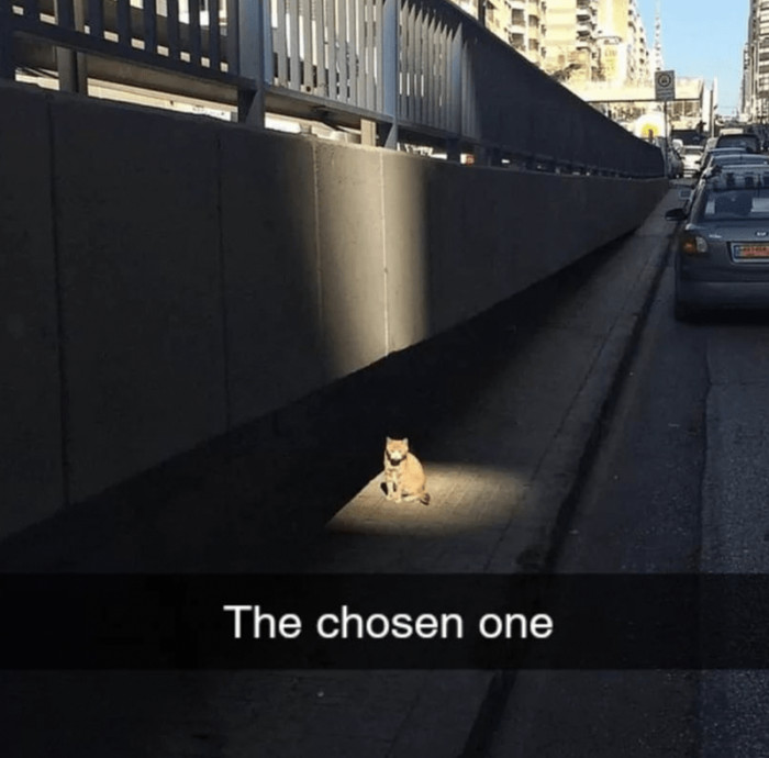 12. And just like that, we finally found the one we've been looking for all this while