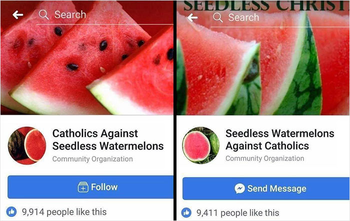 3. Watermelons Having Better Social Life Than Me