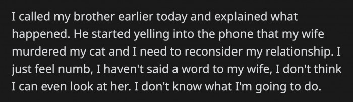 OP's wife apologized to him when she saw the cat long gone in a shoebox. OP can't even look his wife in the eye after what happened, and the situation is just awful for everyone involved.