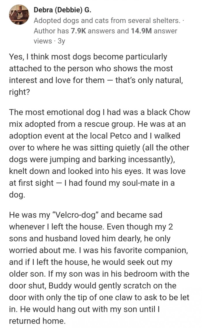 4. Most dogs are attached to a person