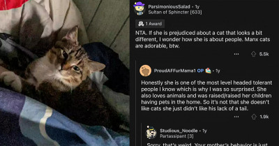 Redditor Asks Her Mom To Leave Her Home After She Insulted Her Kitten And Mistreated Him