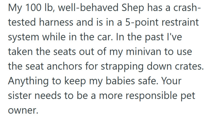 If this person can secure a 100-pound dog like a Formula One driver, crates for two small pups shouldn’t be that hard.