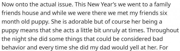 During New Year's, OP went to a family friend's house, where she met her friend's six-month-old puppy.