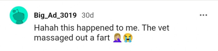 That moment when the vet massages out a fart
