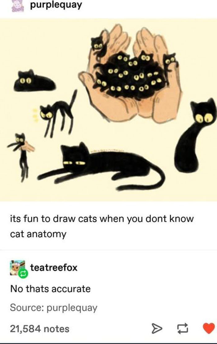 33. Do you know cat anatomy?