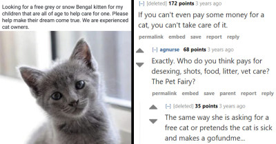 Online Community Roasts a Choosing Beggar Trying to Get a Free $1,000-Worth Cat from Strangers
