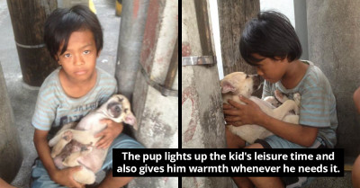 Little Boy Deserted By His Parents, Lives On The Streets And Sings Lullabies To A Homeless Dog