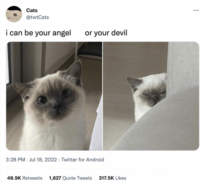 14. We’ll take both. Thank you.