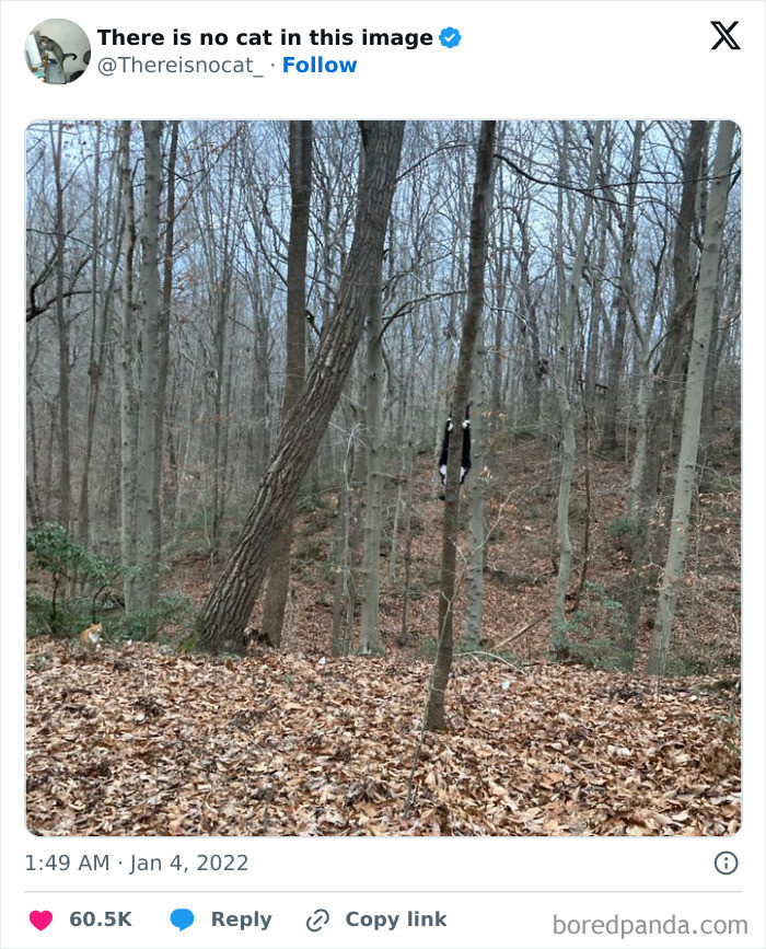 15. There's Two Of Them