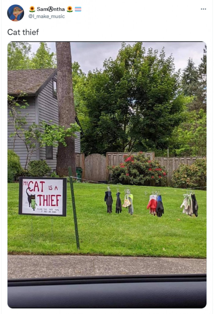 18. Cat thief with narc owners