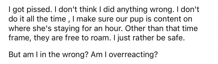 The husband's reaction made OP doubt her actions, so she decided to consult with the Reddit community.