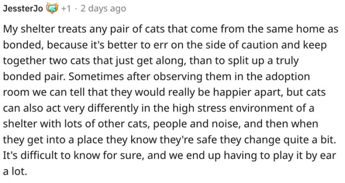 17. We end up playing it by ear a lot