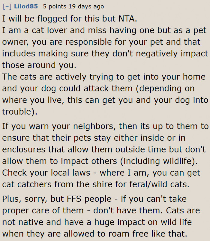 A cat owner believes that letting felines out is irresponsible.