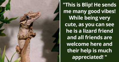 Wholesome Posts About Animals That Are Just Too Pure For This World