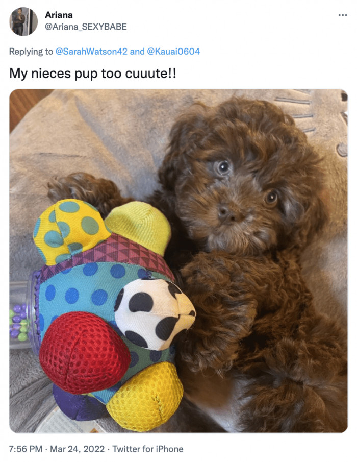 24. Beautiful eyes, beautiful fur. Perfect!