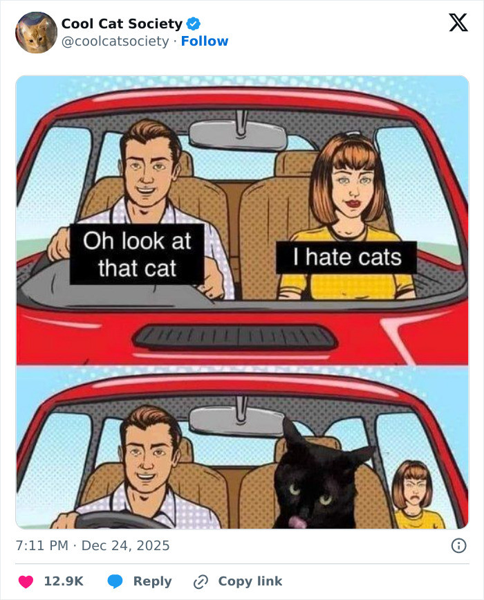 15. “Cat hater!…See ya!”