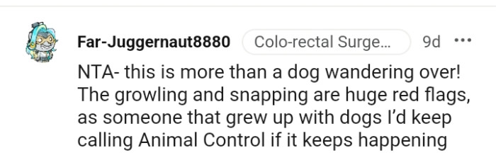 From Someone Who Grew Up with Dogs